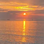 Cuba シダ
