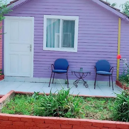 Cuba Ξενοδοχείο