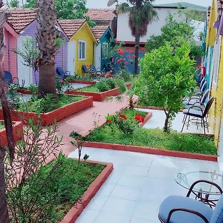 Cuba シダ