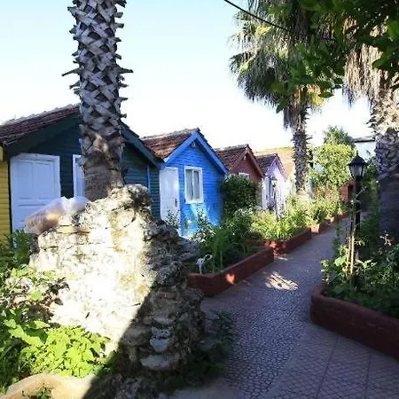 Cuba 3* Σιντέ