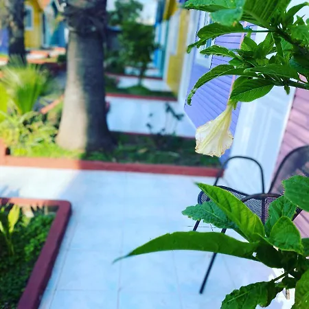 Cuba Hotell Side