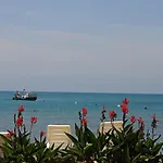 Cuba 3* シダ