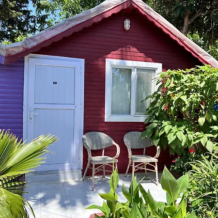Cuba Side